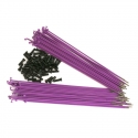 34R spokes purple 186mm